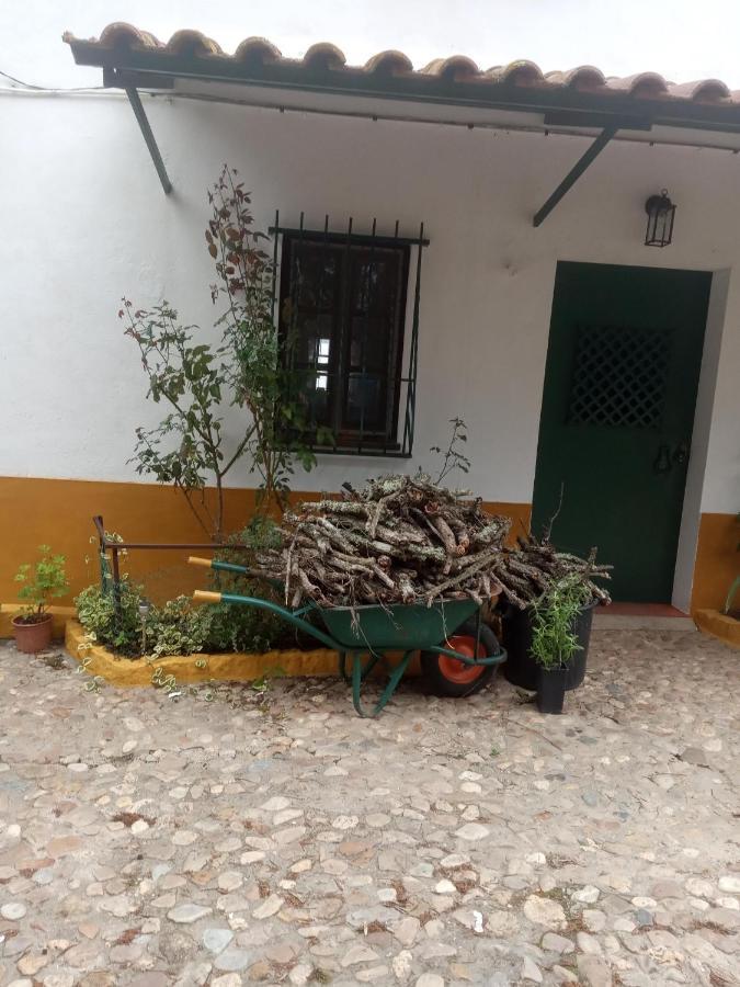 Monte Da Samarra Villa Авис Екстериор снимка