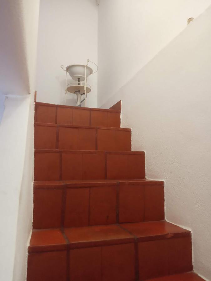 Monte Da Samarra Villa Авис Екстериор снимка