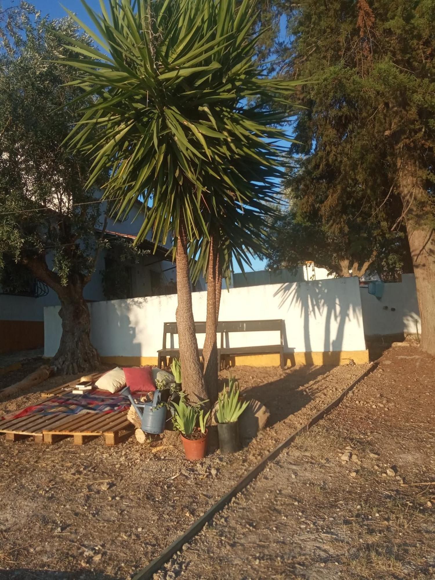 Monte Da Samarra Villa Авис Екстериор снимка