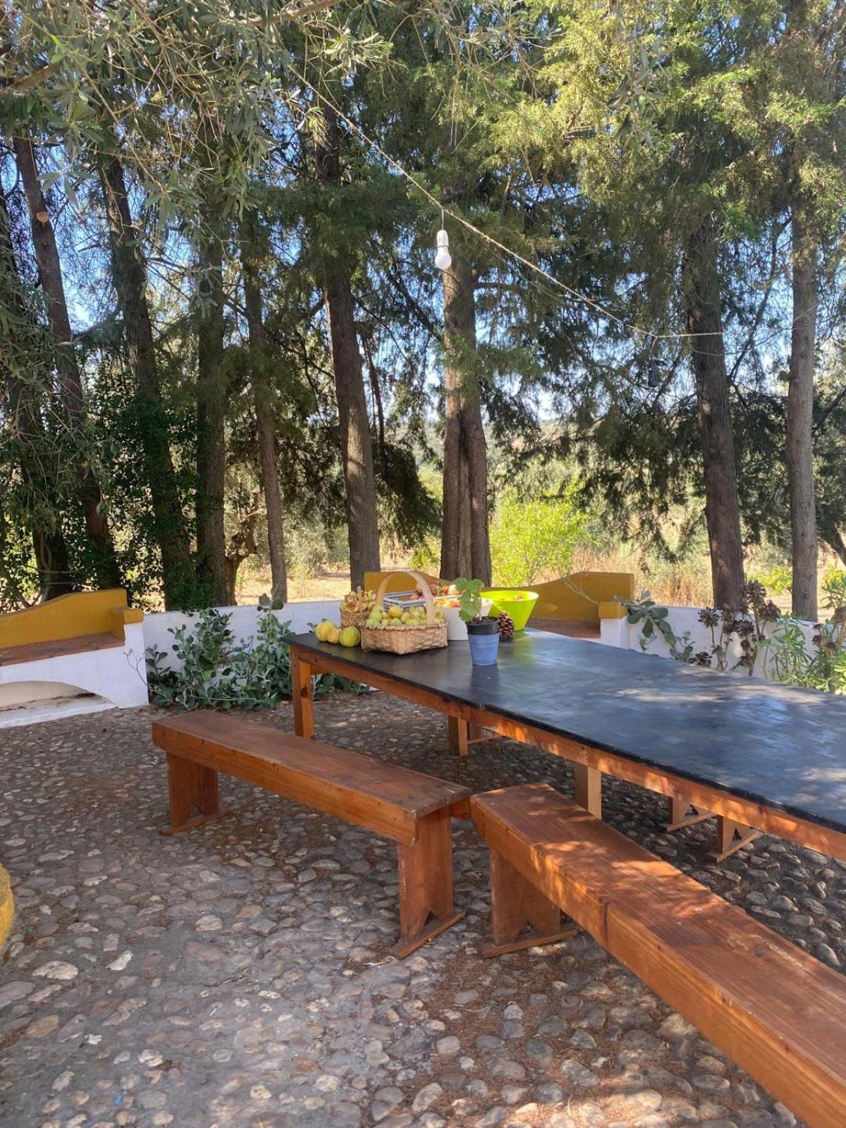 Monte Da Samarra Villa Авис Екстериор снимка