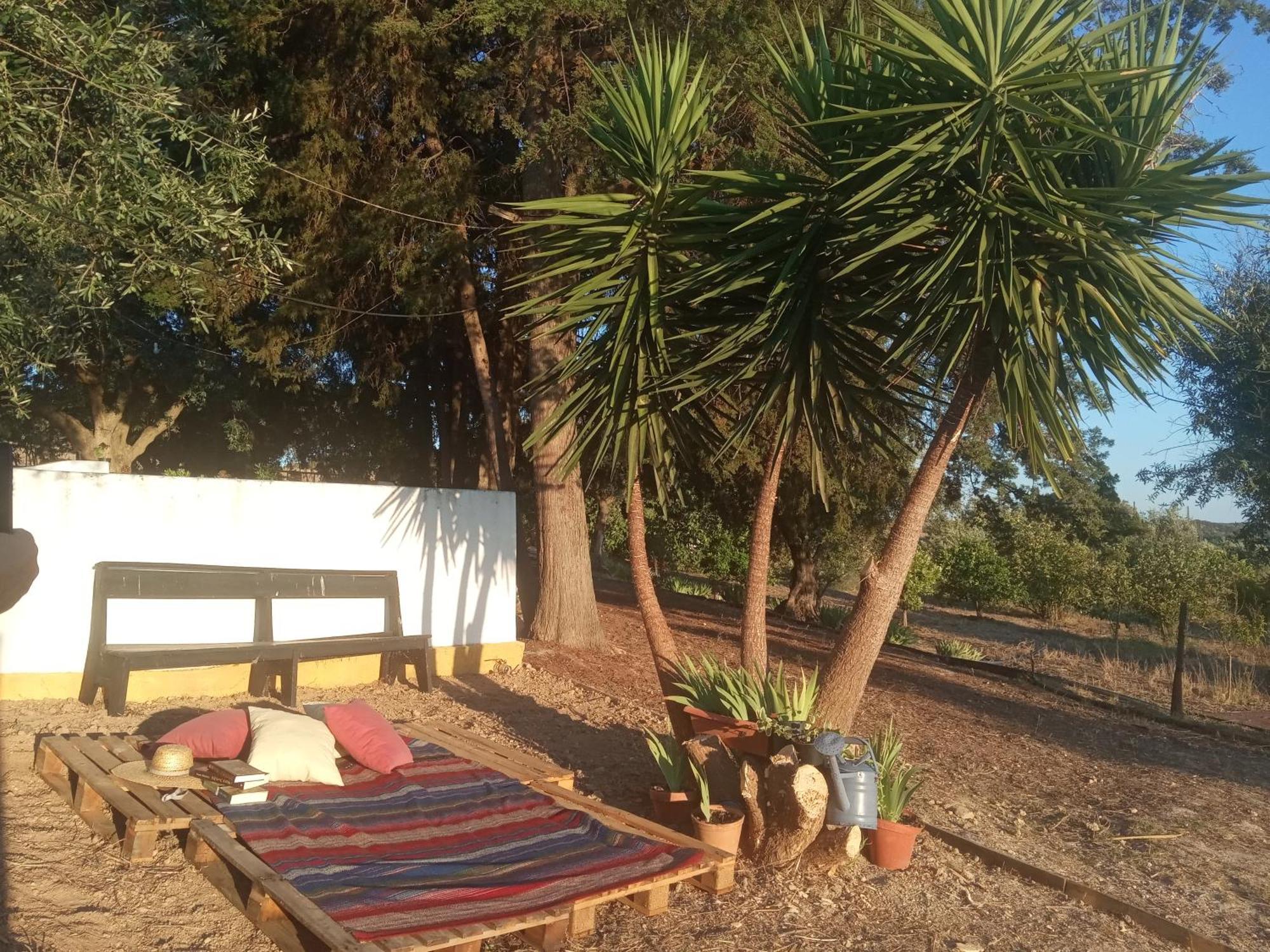 Monte Da Samarra Villa Авис Екстериор снимка