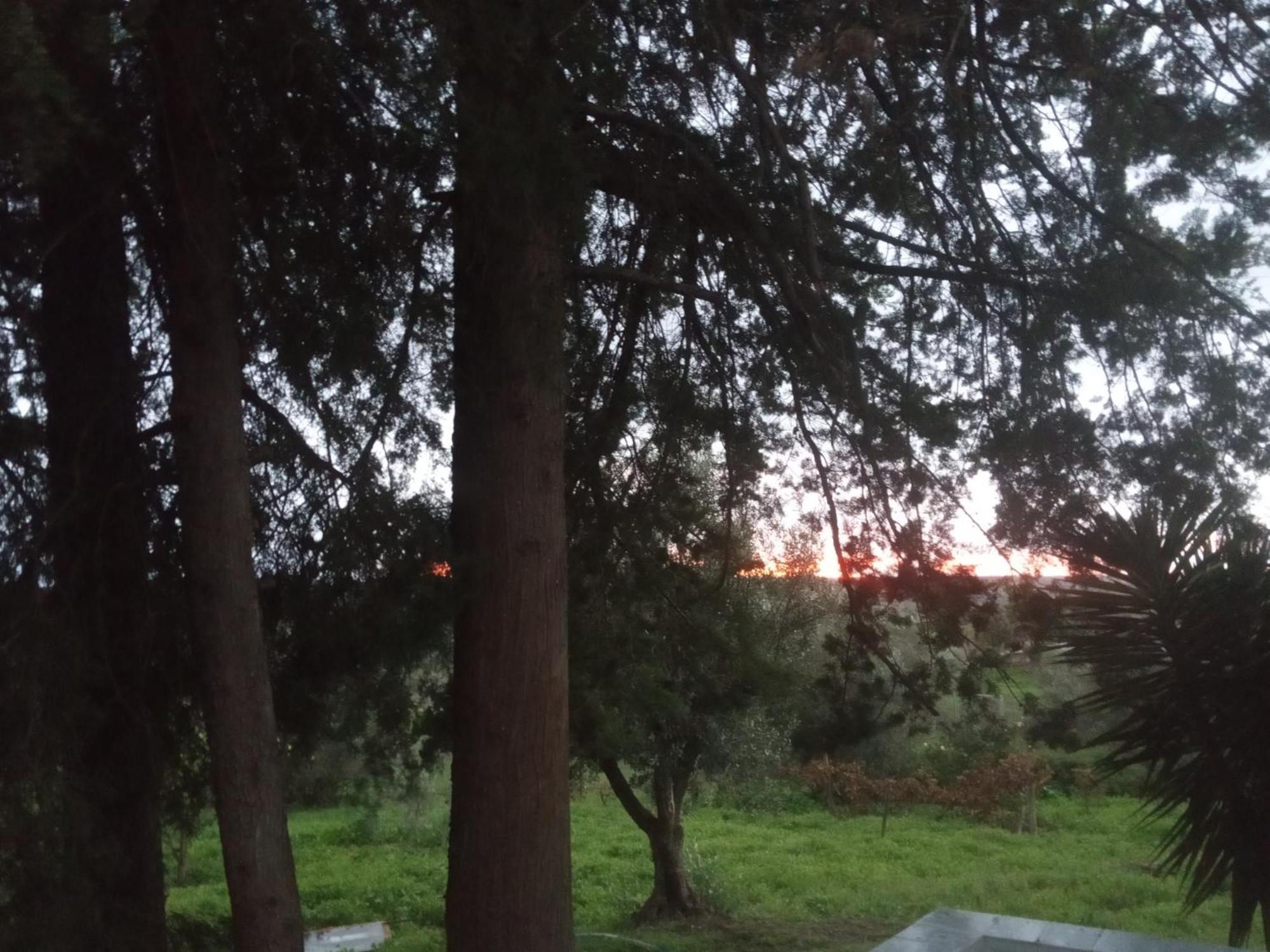 Monte Da Samarra Villa Авис Екстериор снимка