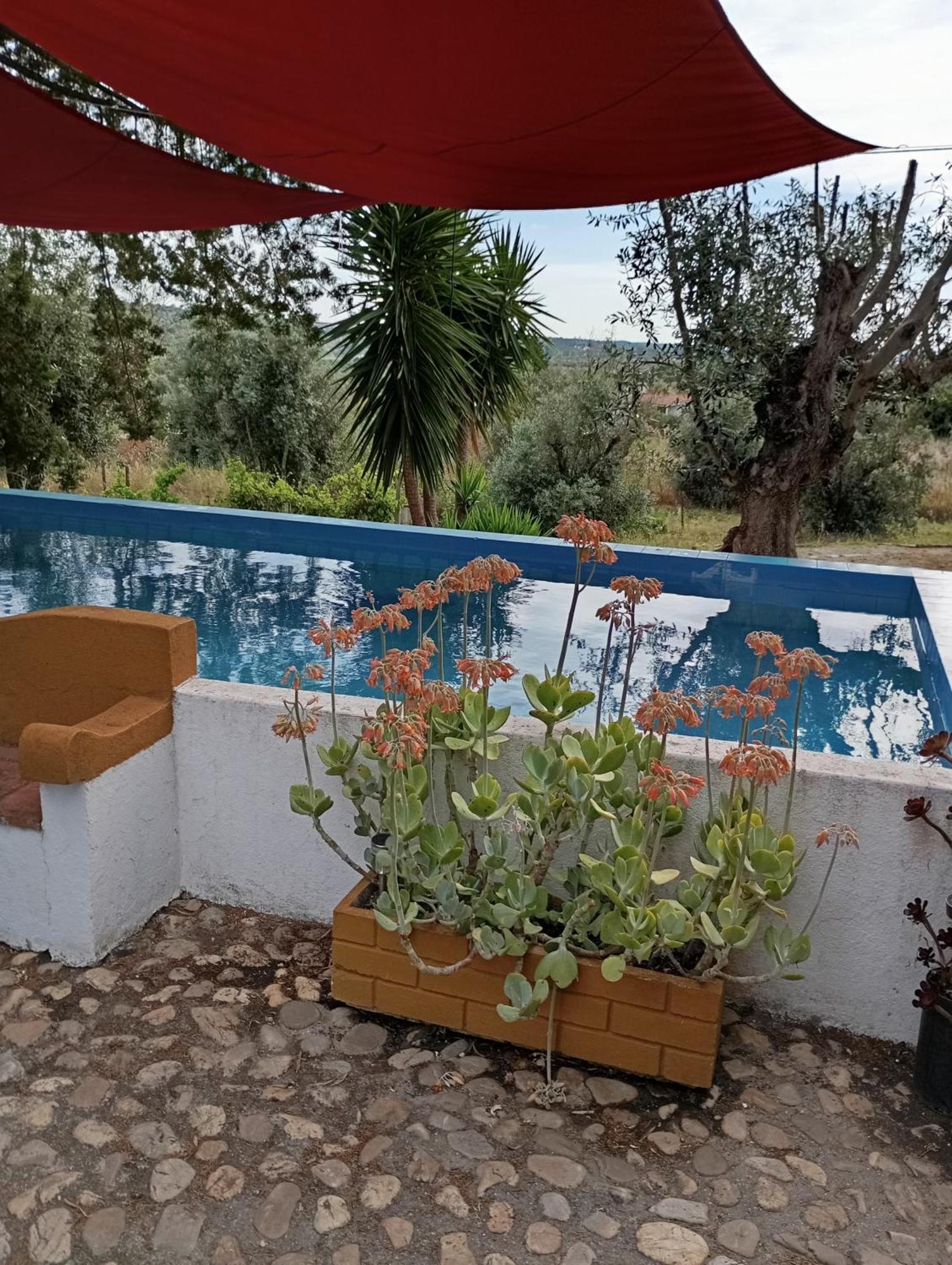 Monte Da Samarra Villa Авис Екстериор снимка