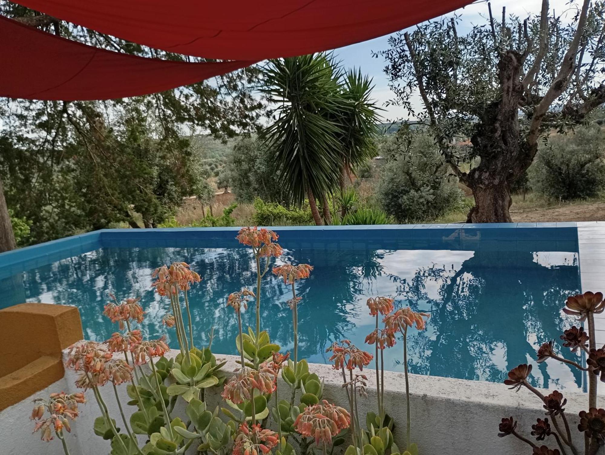 Monte Da Samarra Villa Авис Екстериор снимка